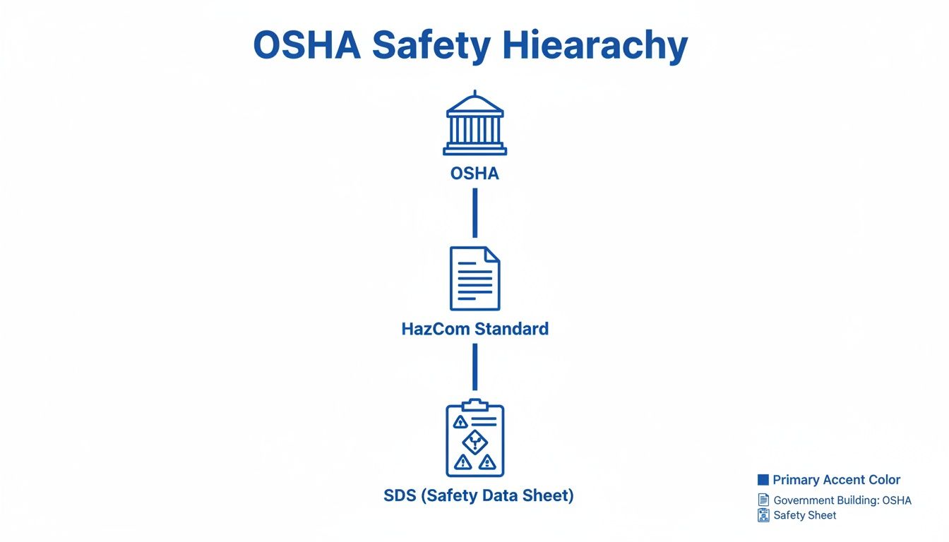 A diagram illustrating the OSHA Safety Hierarchy, from OSHA to HazCom Standard and then to SDS (Safety Data Sheet).